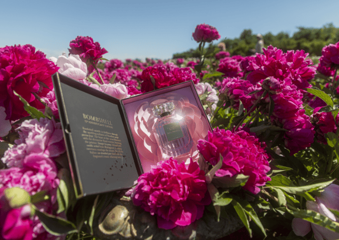 オ*カ様 G RAP!!BOMBSHELL/SIGNATURE SERIES Behind the Bombshell: A Full Guide on America's #1 Fragrance*